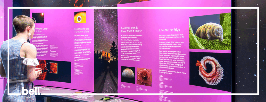 Young adult standing and reading an exhibit panel.